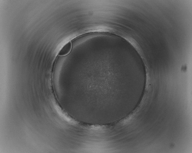 X0000110960850200907022219