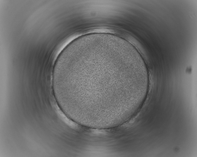 X0000110960852200907022219