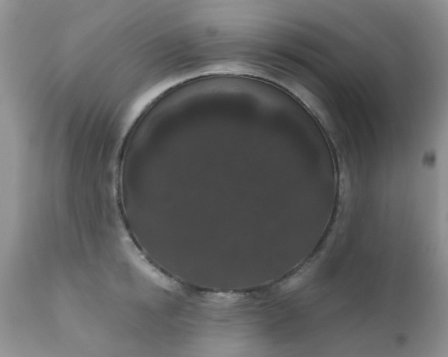 X0000110960854200907022219