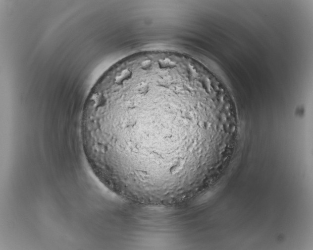 X0000110960855200907022219