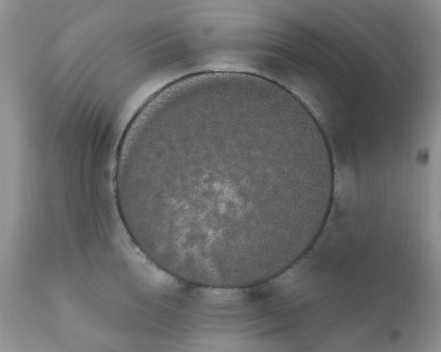 X0000110960856200907022219