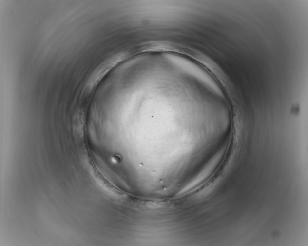 X0000110960857200907022219