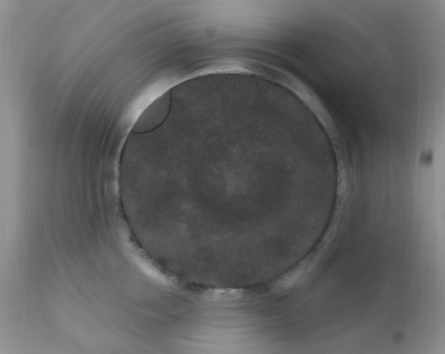 X0000110960858200907022219