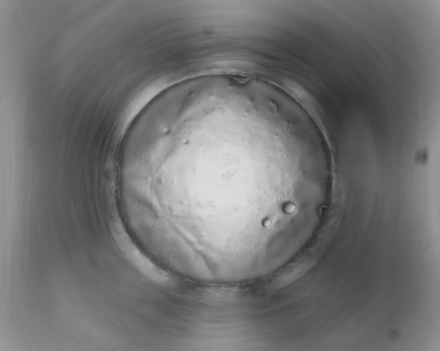 X0000110960859200907022219