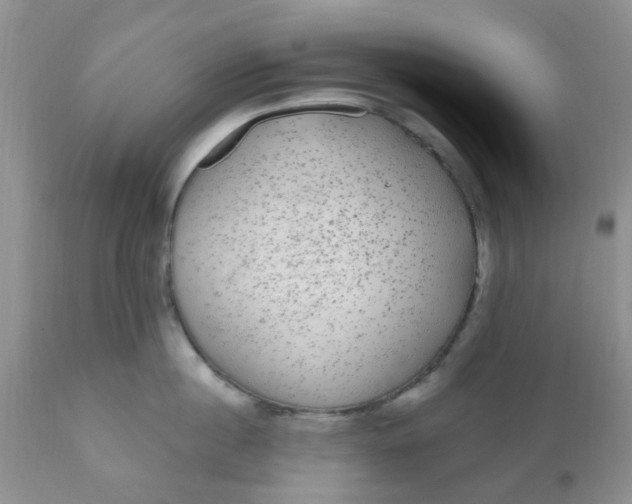 X0000110960860200907022219