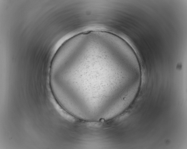 X0000110960861200907022219