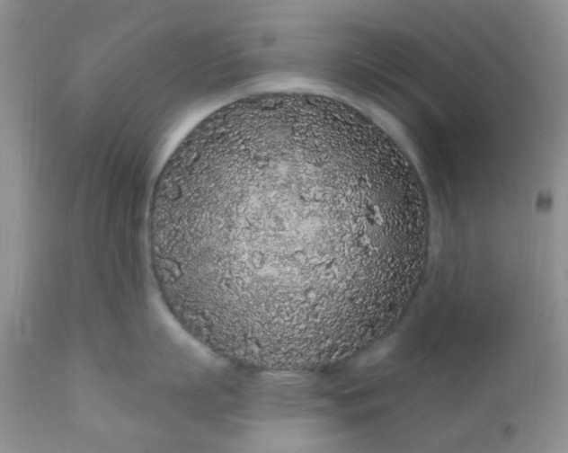 X0000110960863200907022219