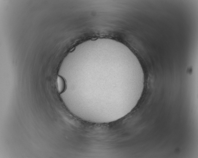 X0000110960865200907022219