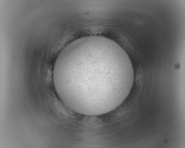 X0000110960866200907022219