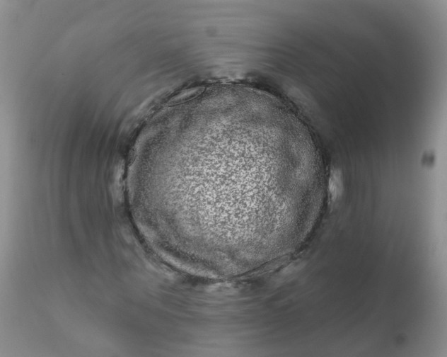 X0000110960867200907022219