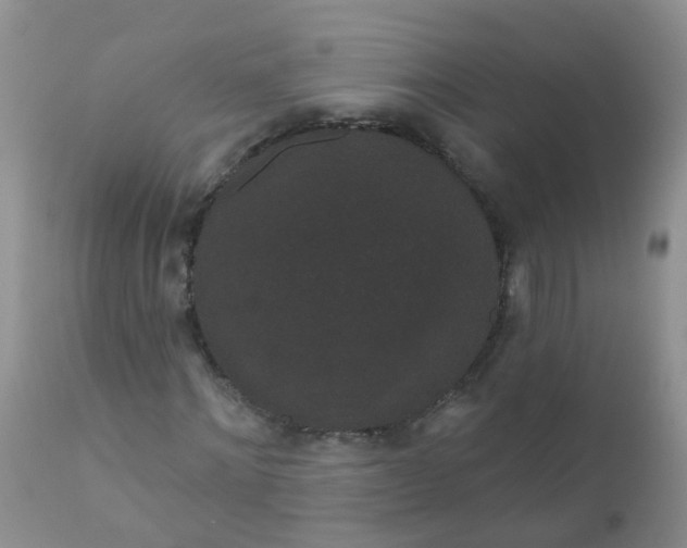 X0000110960868200907022219