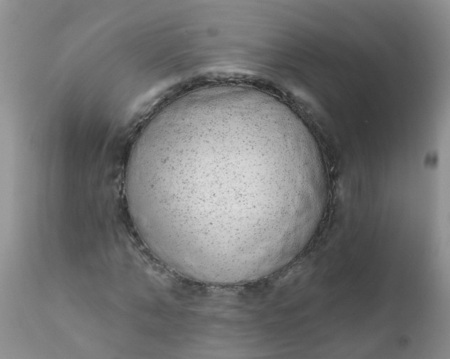 X0000110960870200907022218