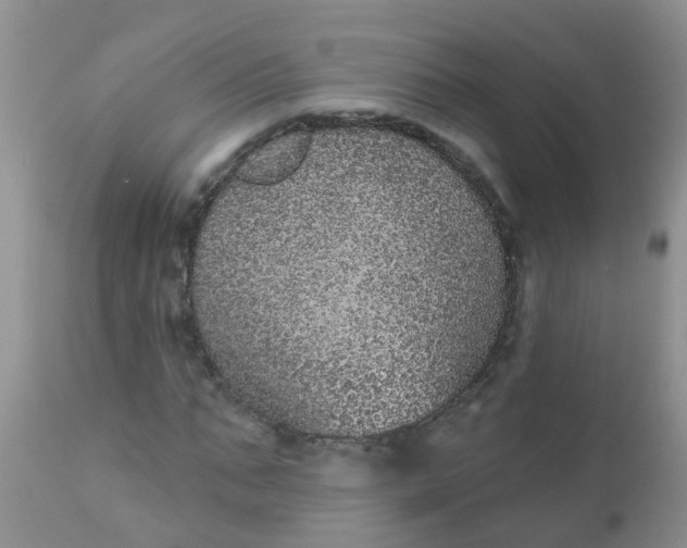 X0000110960871200907022218