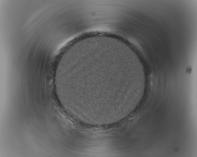 X0000110960872200907022218