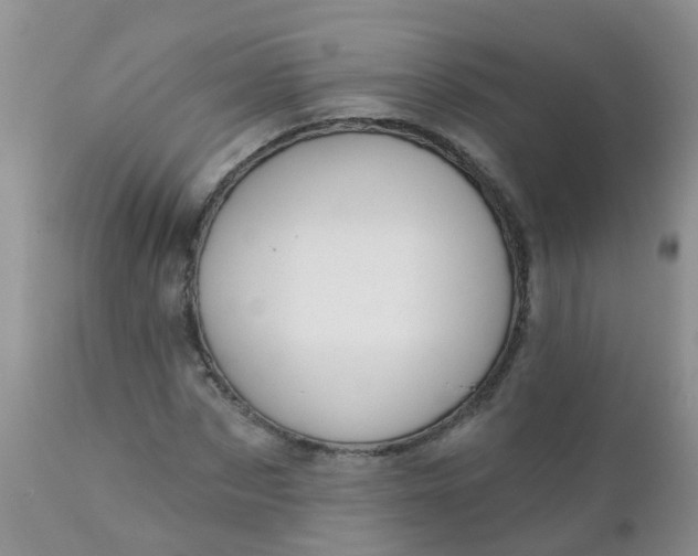 X0000110960873200907022218