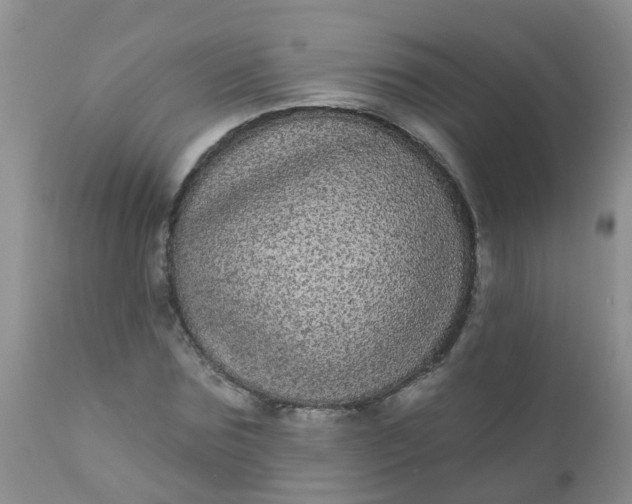 X0000110960875200907022218