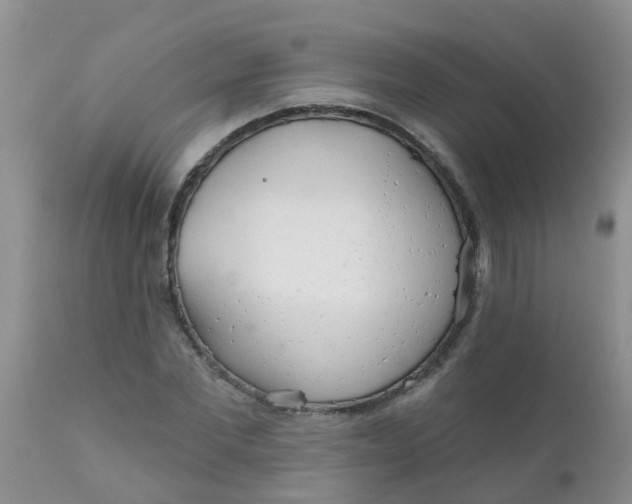 X0000110960877200907022218