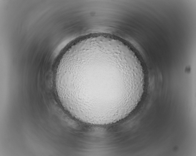 X0000110960878200907022218