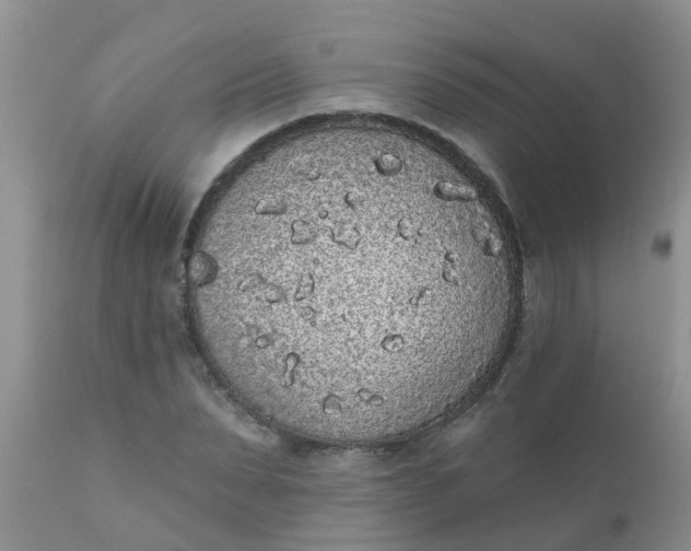 X0000110960879200907022218