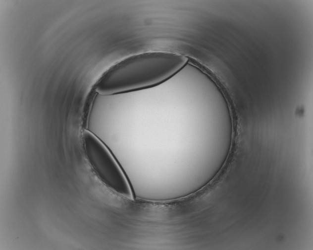 X0000110960880200907022218