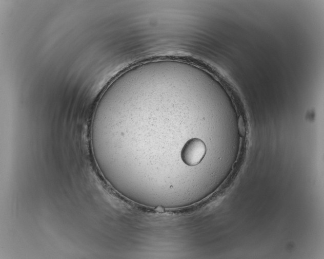 X0000110960881200907022218