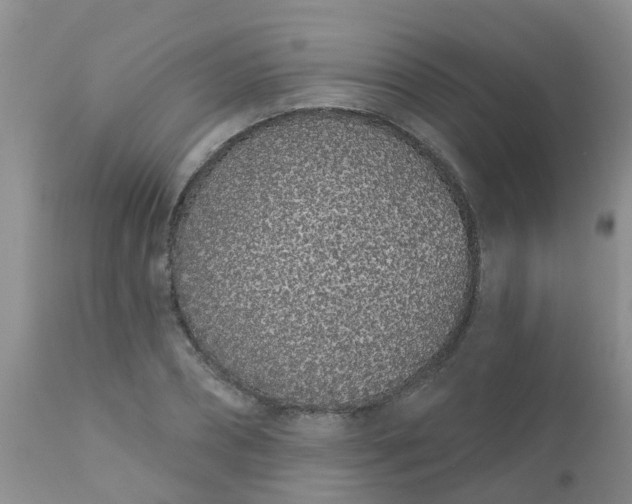 X0000110960882200907022218