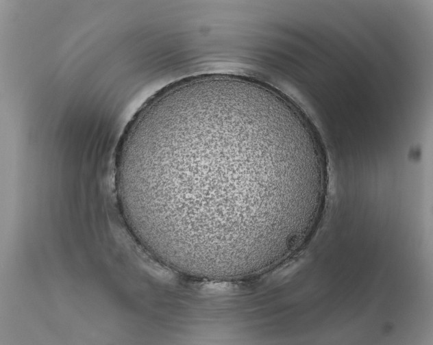 X0000110960883200907022218