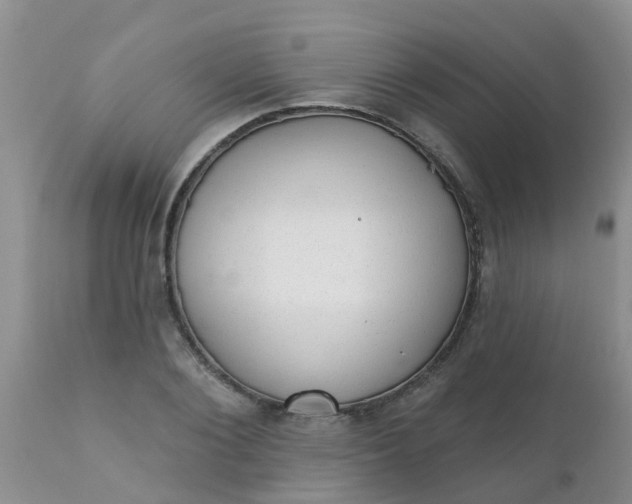 X0000110960884200907022218