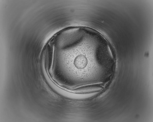 X0000110960885200907022218