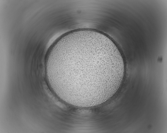 X0000110960886200907022218