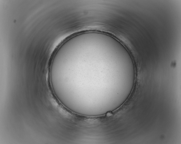 X0000110960888200907022218