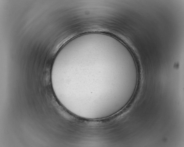 X0000110960889200907022218