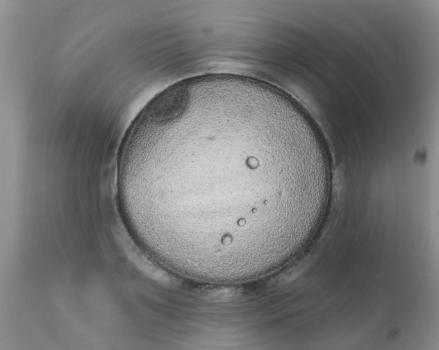 X0000110960891200907022218