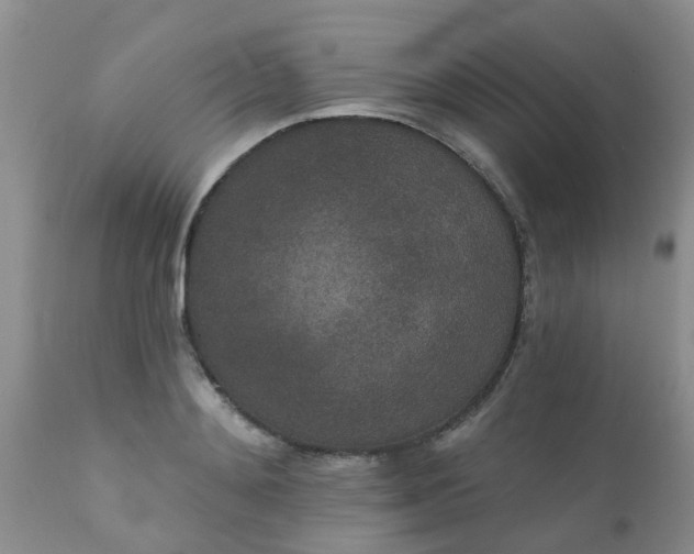 X0000110960892200907022218