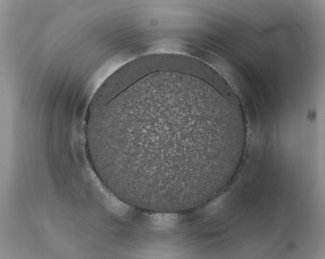 X0000110960893200907022218