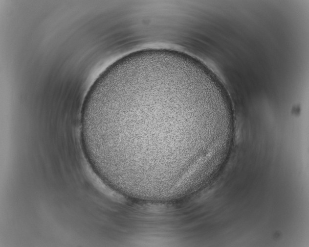 X0000110960895200907022218