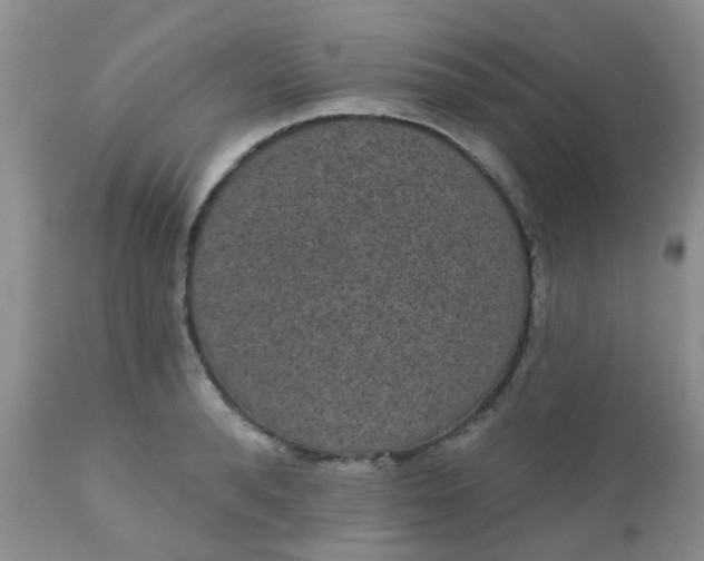 X0000110960896200907022218