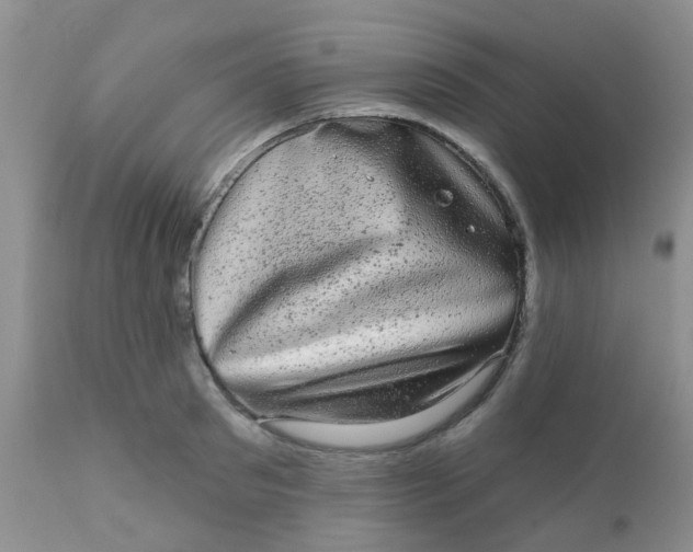 X0000110960897200907022218