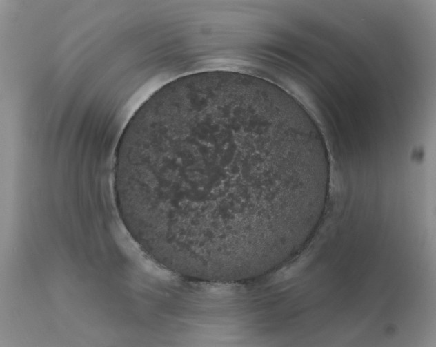 X0000110960899200907022218