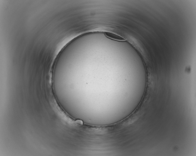 X0000110960900200907022218