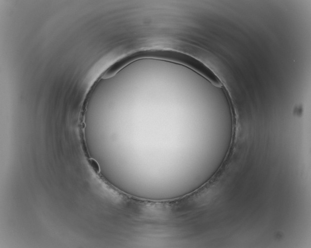 X0000110960901200907022218