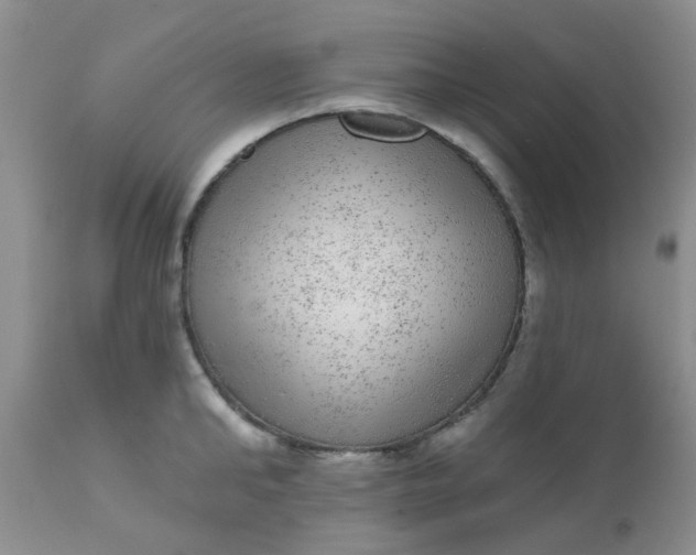 X0000110960902200907022218