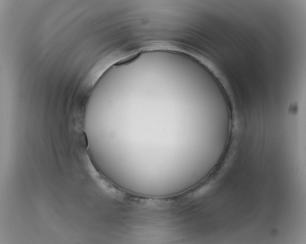 X0000110960905200907022218