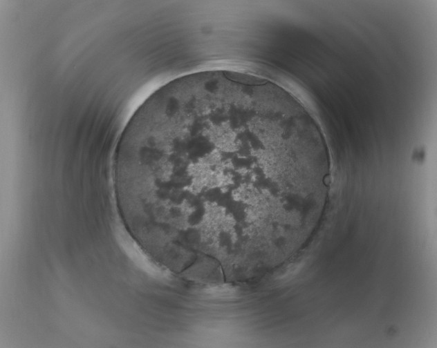 X0000110960907200907022218