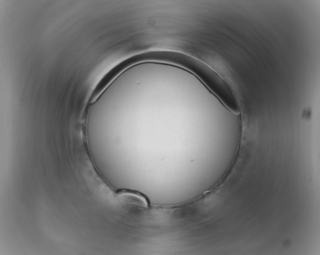 X0000110960908200907022218