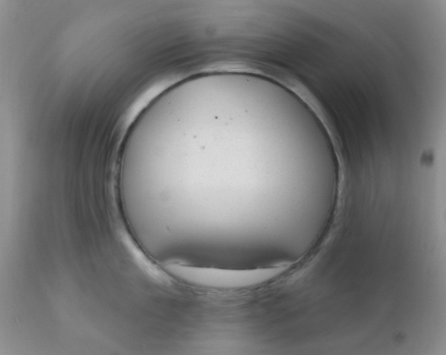 X0000110960909200907022218