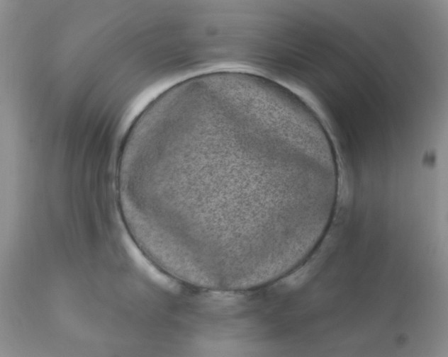 X0000110960910200907022218