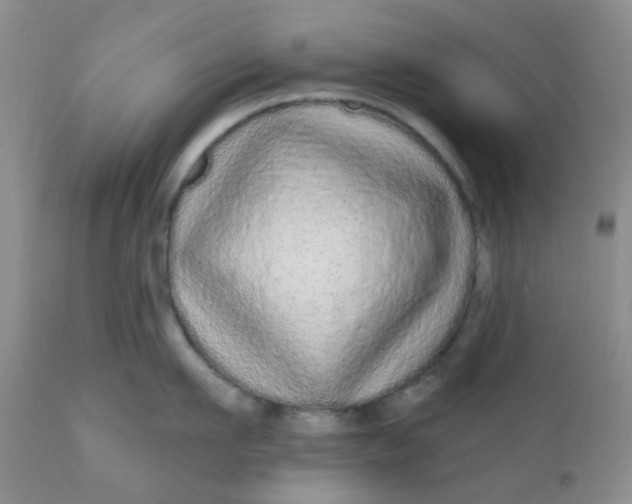 X0000110960911200907022218