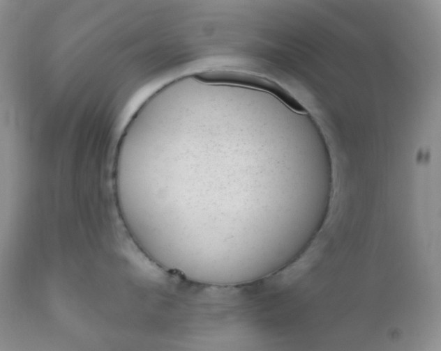 X0000110960912200907022218