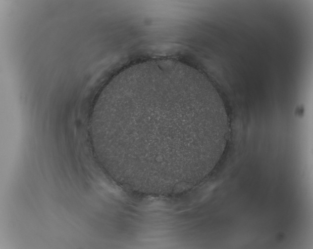 X0000110960913200907022217